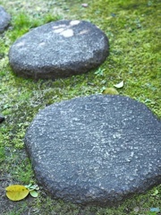 Stepping  stone
