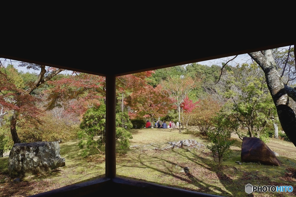 パノラマ風の景色