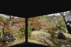 パノラマ風の景色