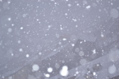 ぼたん雪