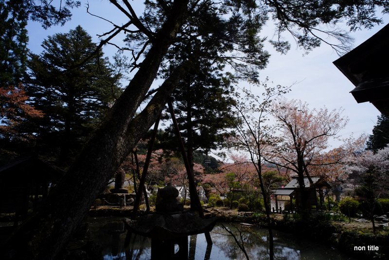 白毫寺