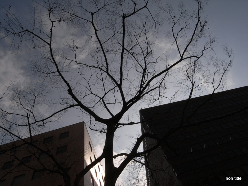 R0014601