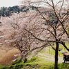 DSCF6809
