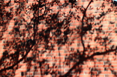 shadow