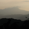 霧の山