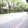 道