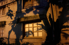 shadow