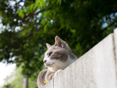余裕