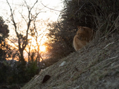 冬休みの夕暮れ時