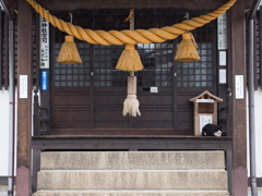 雨宿り