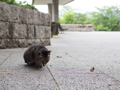証拠探し