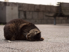 休む