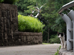 美術館の小道にて