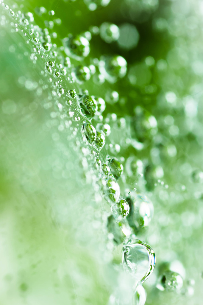 水の息吹