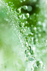 水の息吹