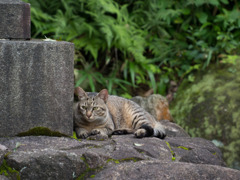 張り込み刑事