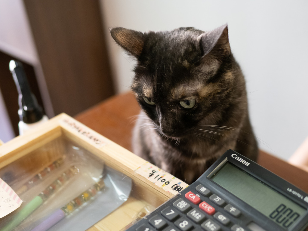 猫カフェにて #41