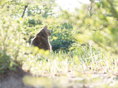 春の日差しの中で