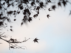 寒さへと向かう