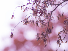 ただ待つだけの時