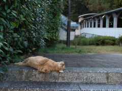 ぎりぎりのところで一回転してみた