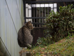 少しだけ高く