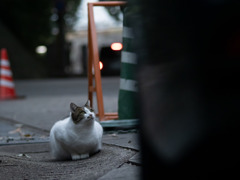 日が暮れて