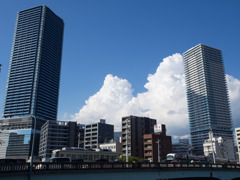 夏でした
