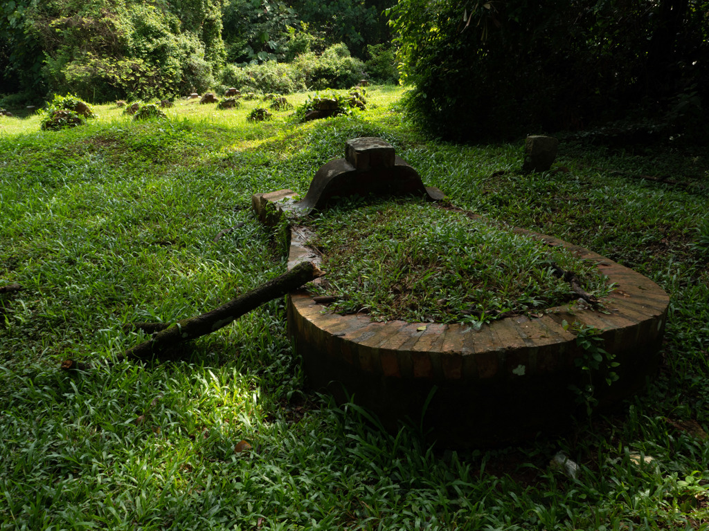 Bukit Brown 2018