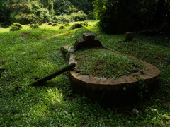 Bukit Brown 2018