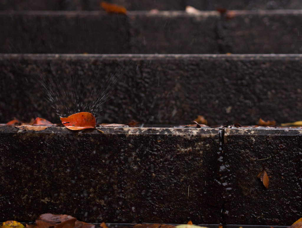 雨