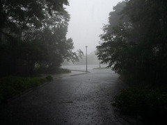 強い雨が降る