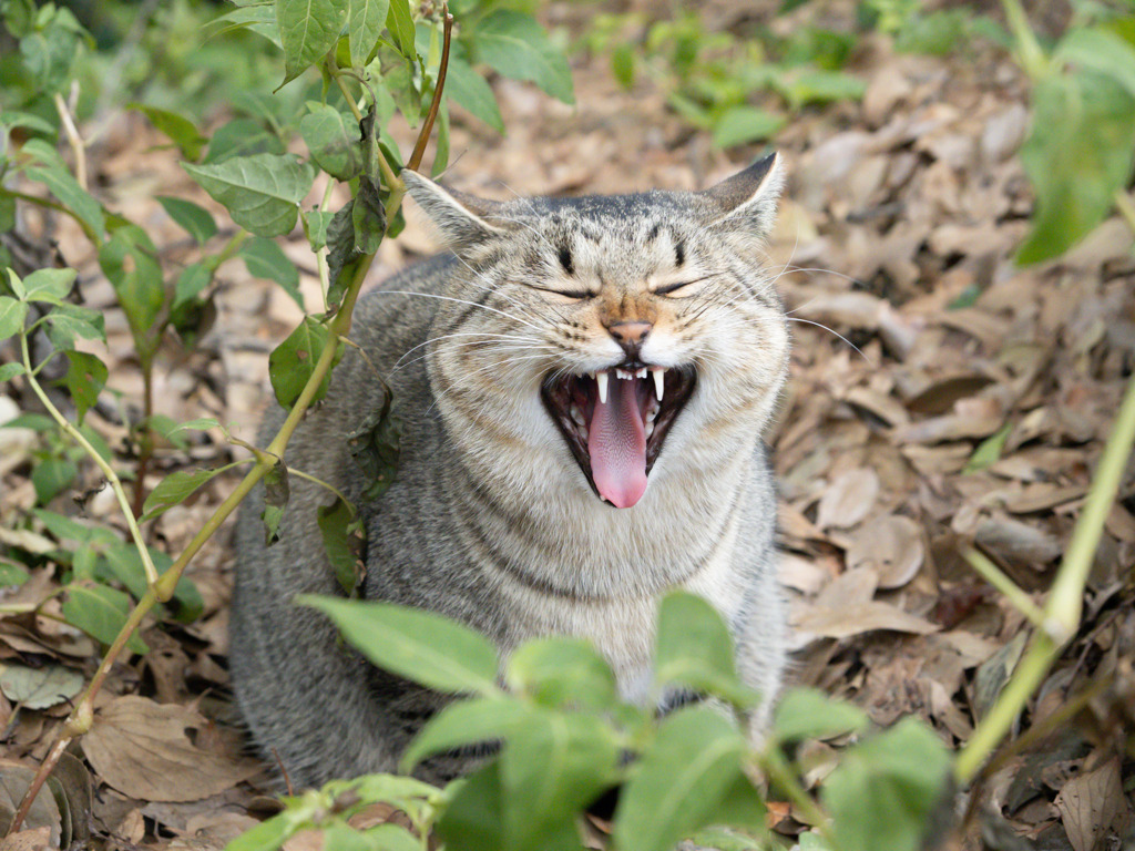 よいお年をお迎えください