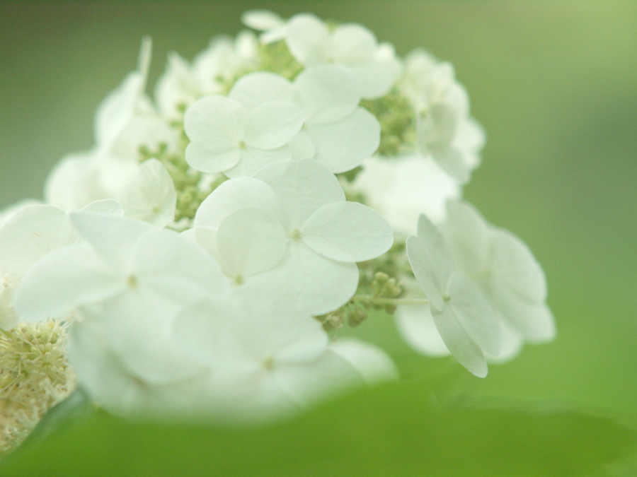 淡い光に包まれて