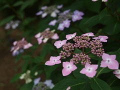 標準ズームにて