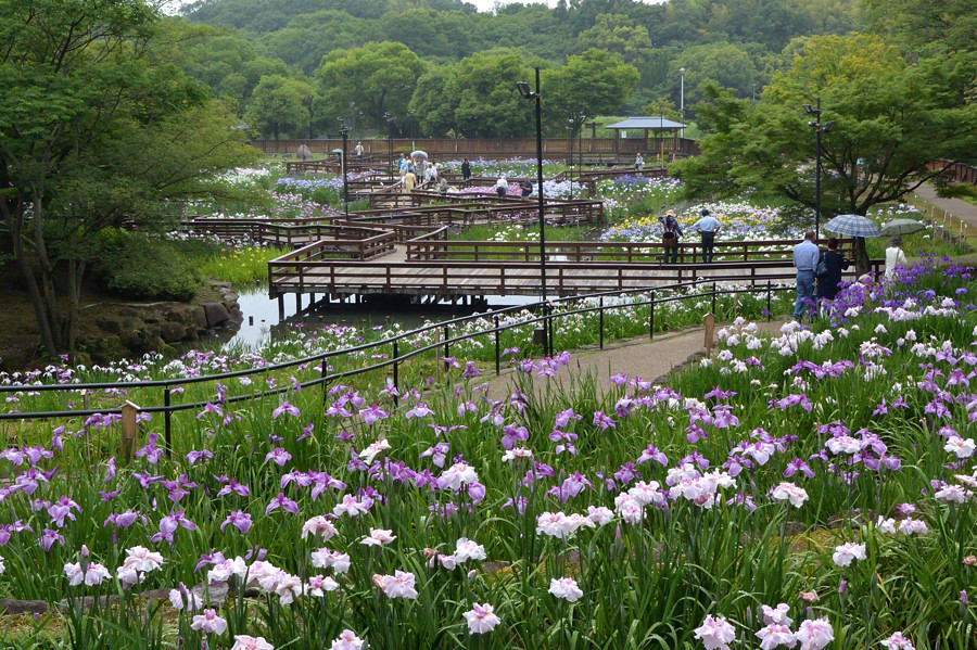 枚方市　山田池公園にて