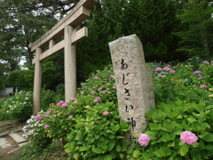 紫陽花神社