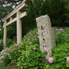 紫陽花神社