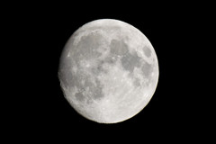 綺麗な満月と思いきや・・・