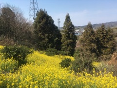 イエローワールド　③