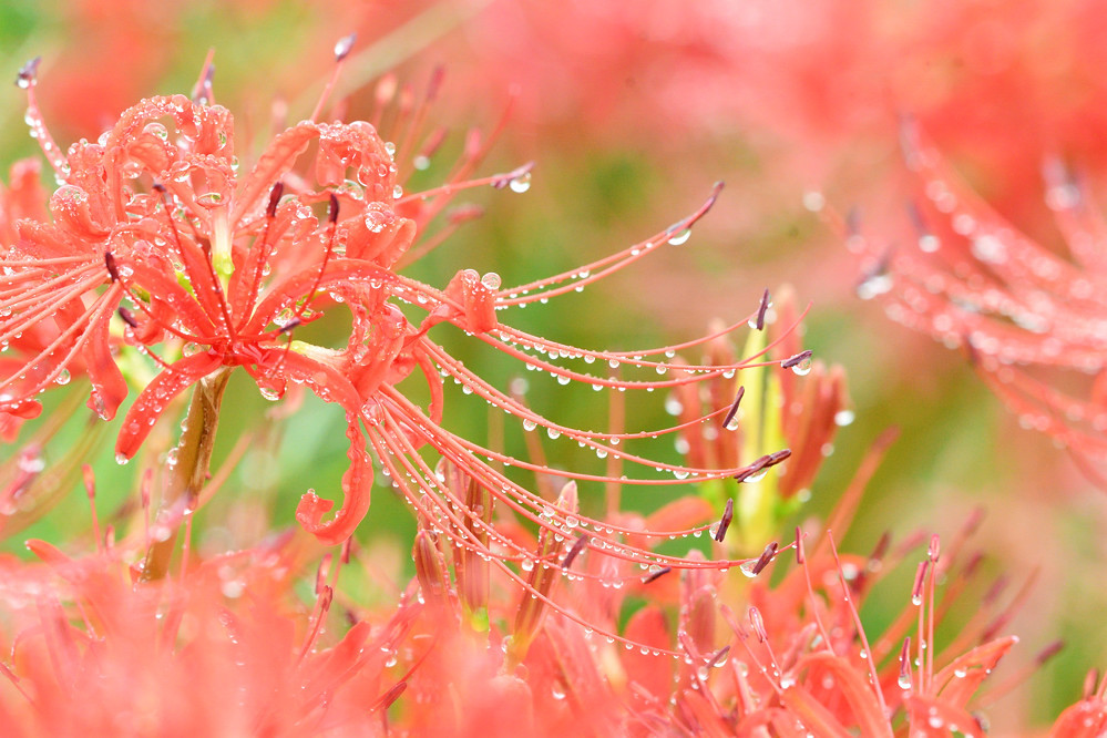 ちょっとハイキーで