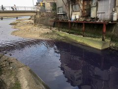 パープルリバー　⑥