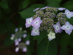 標準ズームにて