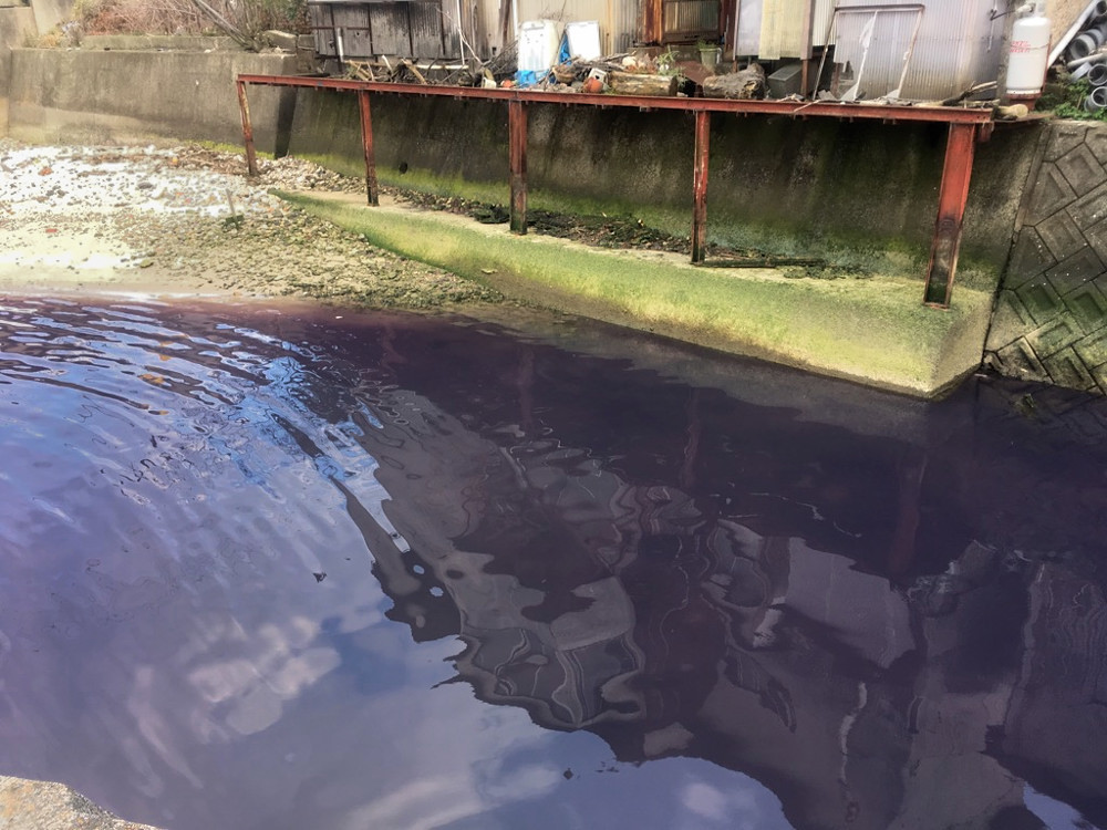 パープルリバー　④