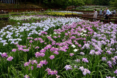 枚方市　山田池公園にて