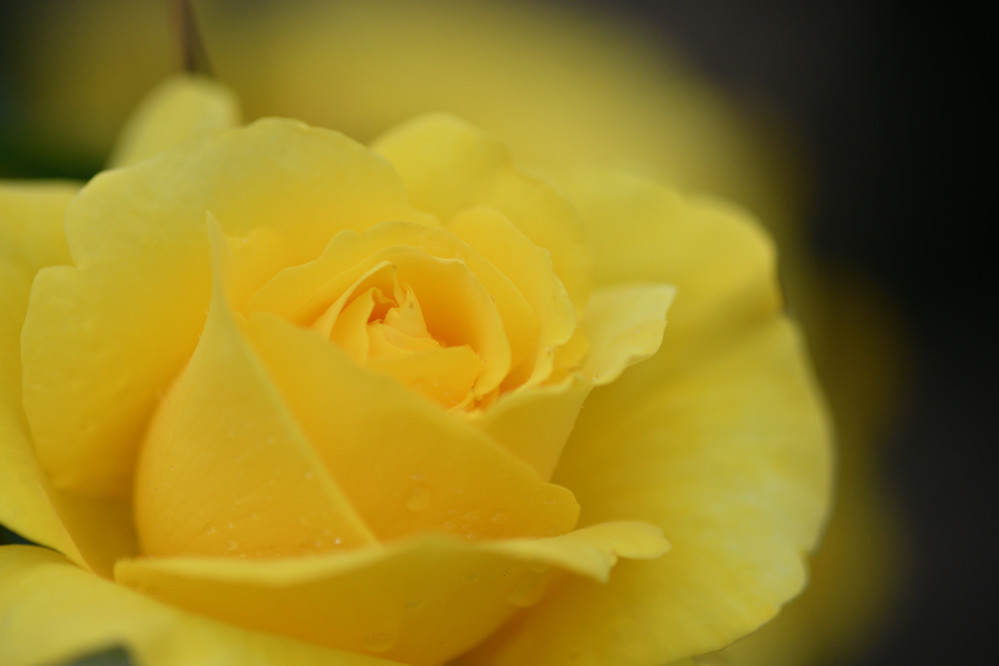 DSC_5674