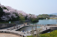 市民の森公園