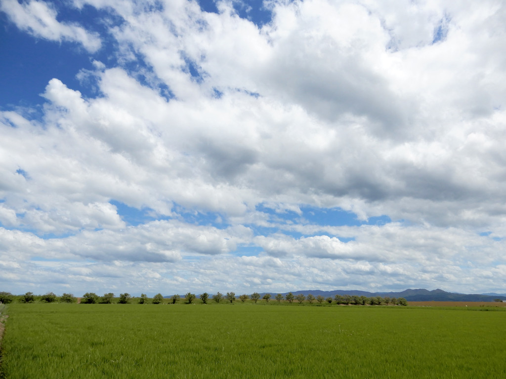 雲が勝ってる青い空