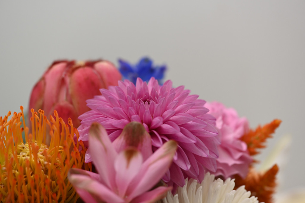 ISO_800_Z7