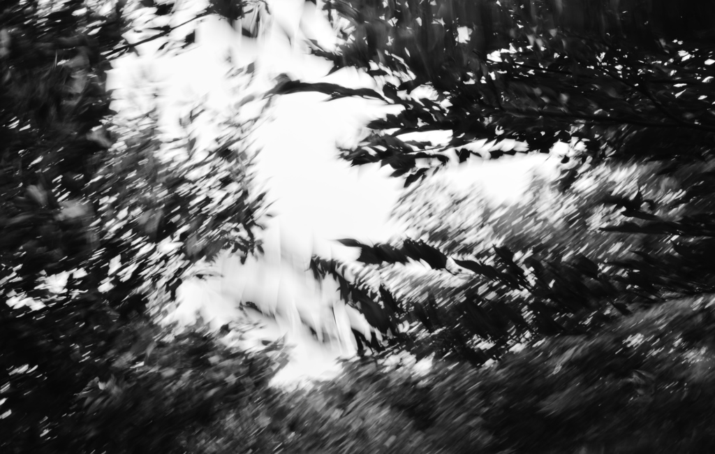 DSC_0540
